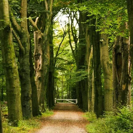 Finnish With Private Garden And Wood Fired Sauna Near The Veluwe *