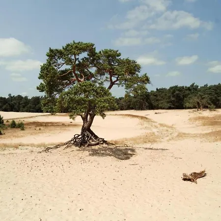 度假居 Finnish With Private Garden And Wood Fired Sauna Near The Veluwe