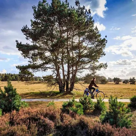 Finnish With Private Garden And Wood Fired Sauna Near The Veluwe