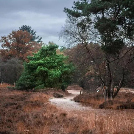 度假居 Finnish With Private Garden And Wood Fired Sauna Near The Veluwe 许尔斯霍斯特