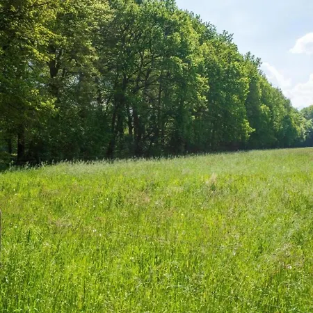 度假居 Finnish With Private Garden And Wood Fired Sauna Near The Veluwe *
