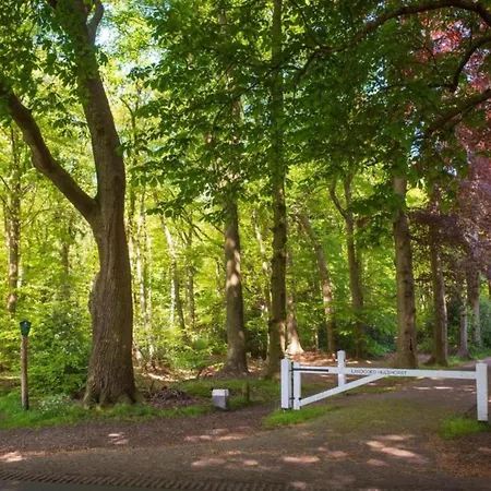 Finnish With Private Garden And Wood Fired Sauna Near The Veluwe